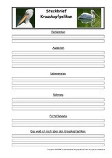 Krauskopfpelikan-Steckbriefvorlage.pdf